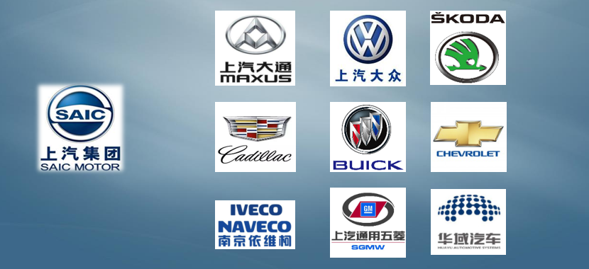 国际客户散布