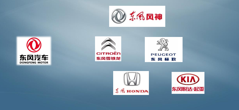 国际客户散布